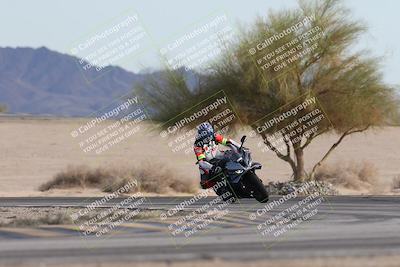 media/Nov-30-2025-TrackXperience (Sun) [[c0061d280f]]/2-Level 2/Session 6 Turn 4 Tree of Life/